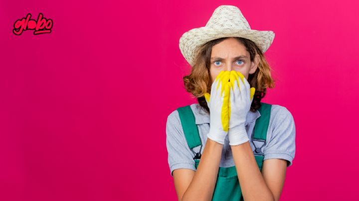 ¿Cómo quitar el mal olor a tu casa?