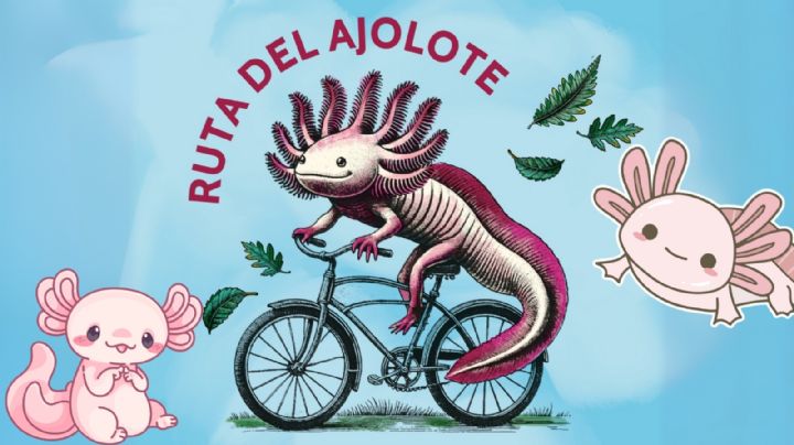 Ruta del Ajolote en Xochimilco: Trajineras y bicicletas harán de este recorrido el mejor