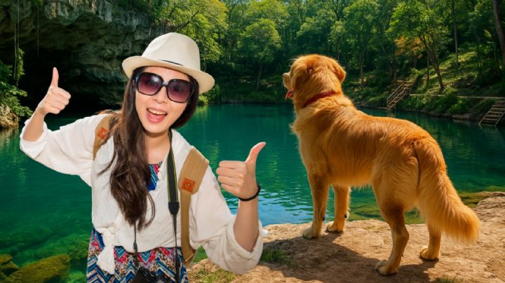 Mejores cenotes pet-friendly en México para unas Vacaciones de Verano 2025 con tu mascota