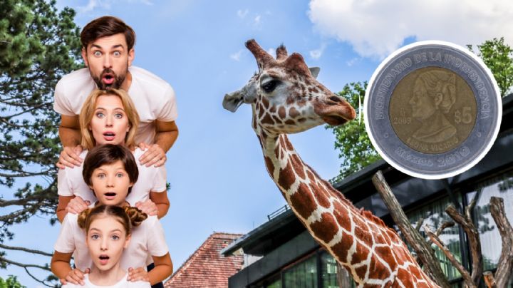 Zoológico en CDMX por solo 5 pesitos, ideal para disfrutar en las Vacaciones de Verano 2025