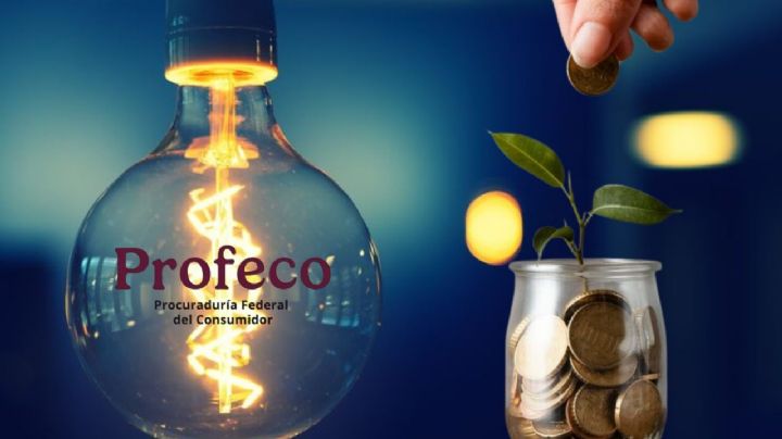 3 tips para ahorrar energía eléctrica (y dinero) en el hogar, según Profeco