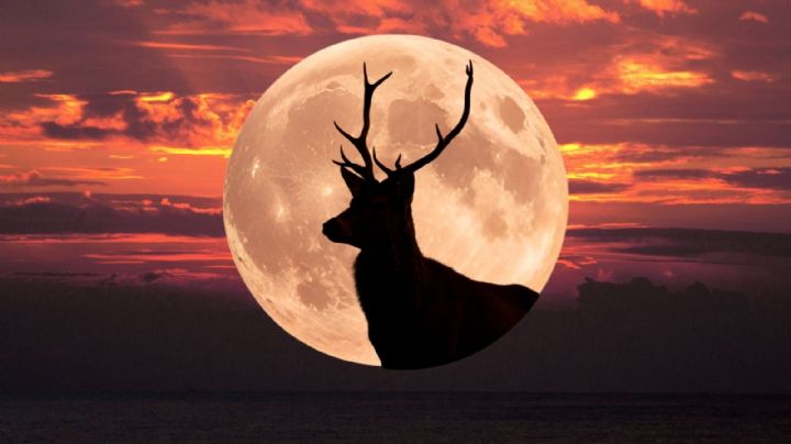 Luna de Llena de Julio 2025: Fecha, significado espiritual y nuevos cambios de esta Luna de Ciervo
