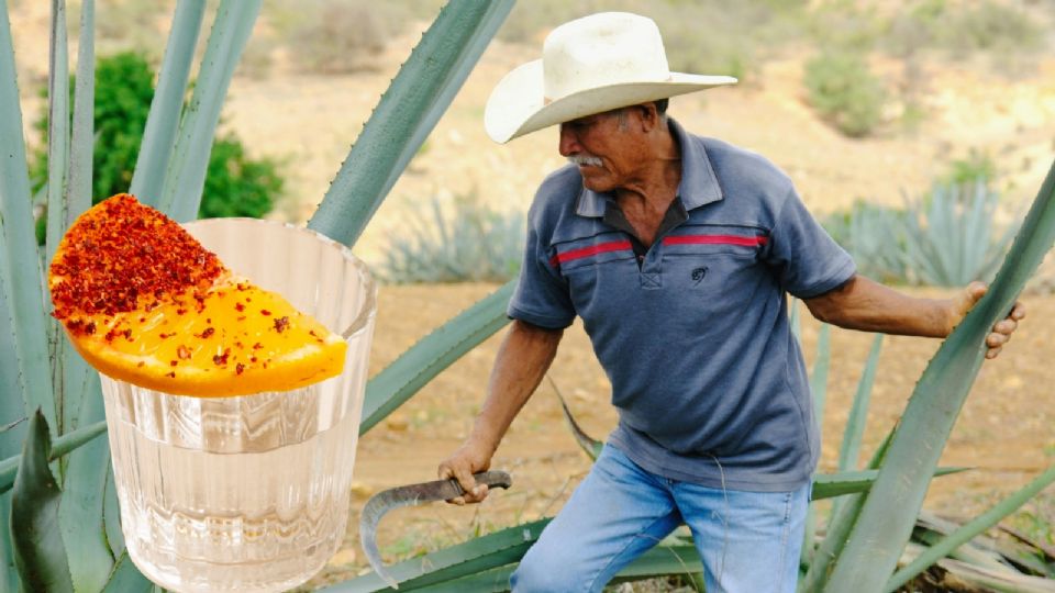 Conoce la “Capital Mundial del Mezcal”, el destino perfecto para visitar Oaxaca.