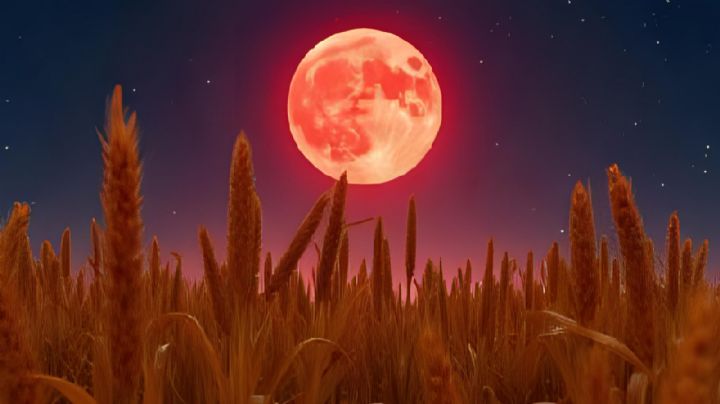 Calendario Lunar Septiembre 2025: ¿Qué significa la Luna de Maíz y desde dónde se podrá VER?