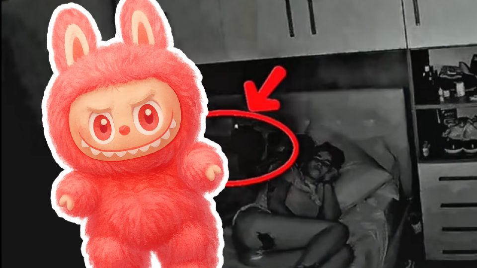 ¿Qué son los Labubus y de dónde salieron? Aquí te damos todos los detalles sobre el muñeco que atacó a un niño mientras se encontraba dormido.