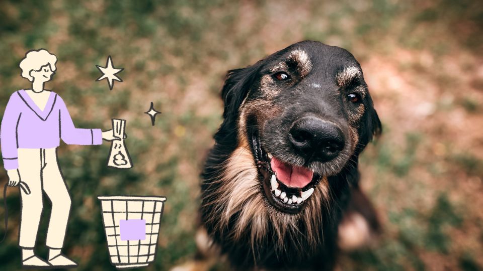 Los trabajadores de la Secretaría de Gestión Integral del Agua realizan labores de desazolve para retirar toneladas de basura y desechos de mascotas en la CDMX.