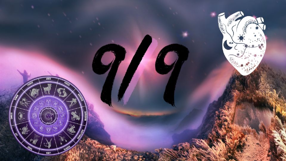 Portal 9/9 ¿Qué es y para qué sirve?