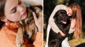Foto ilustrativa de la nota titulada: ¿Cuáles son las razas de perros más cariñosas con los humanos?