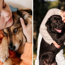 ¿Cuáles son las razas de perros más cariñosas con los humanos?