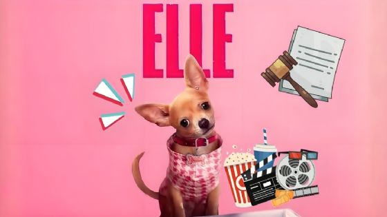 'Elle', precuela de 'Legalmente Rubia': De qué trata y quién es quién en la serie de Prime Video